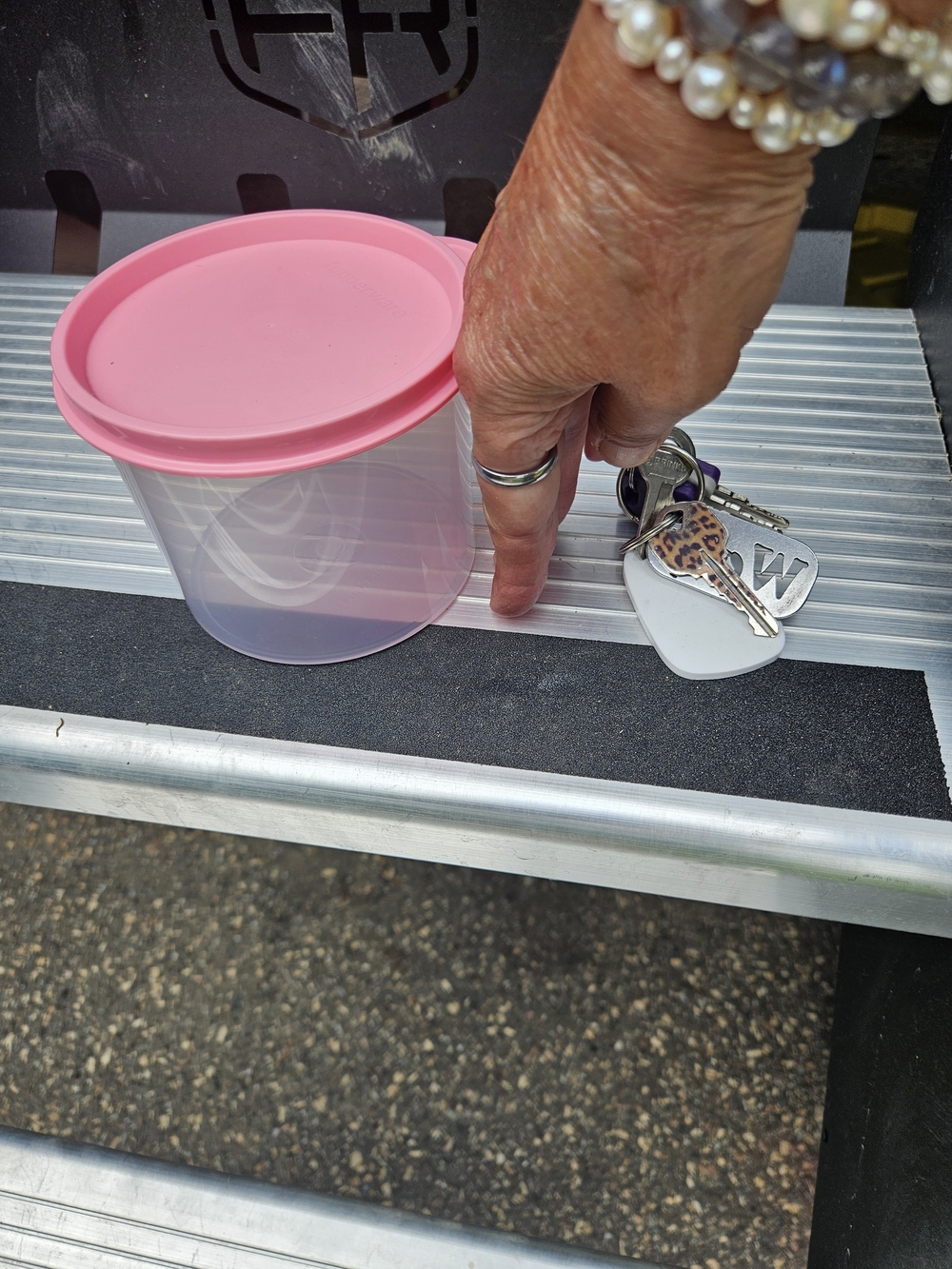 Small Tupperware Plastic Container with Pink Lid
